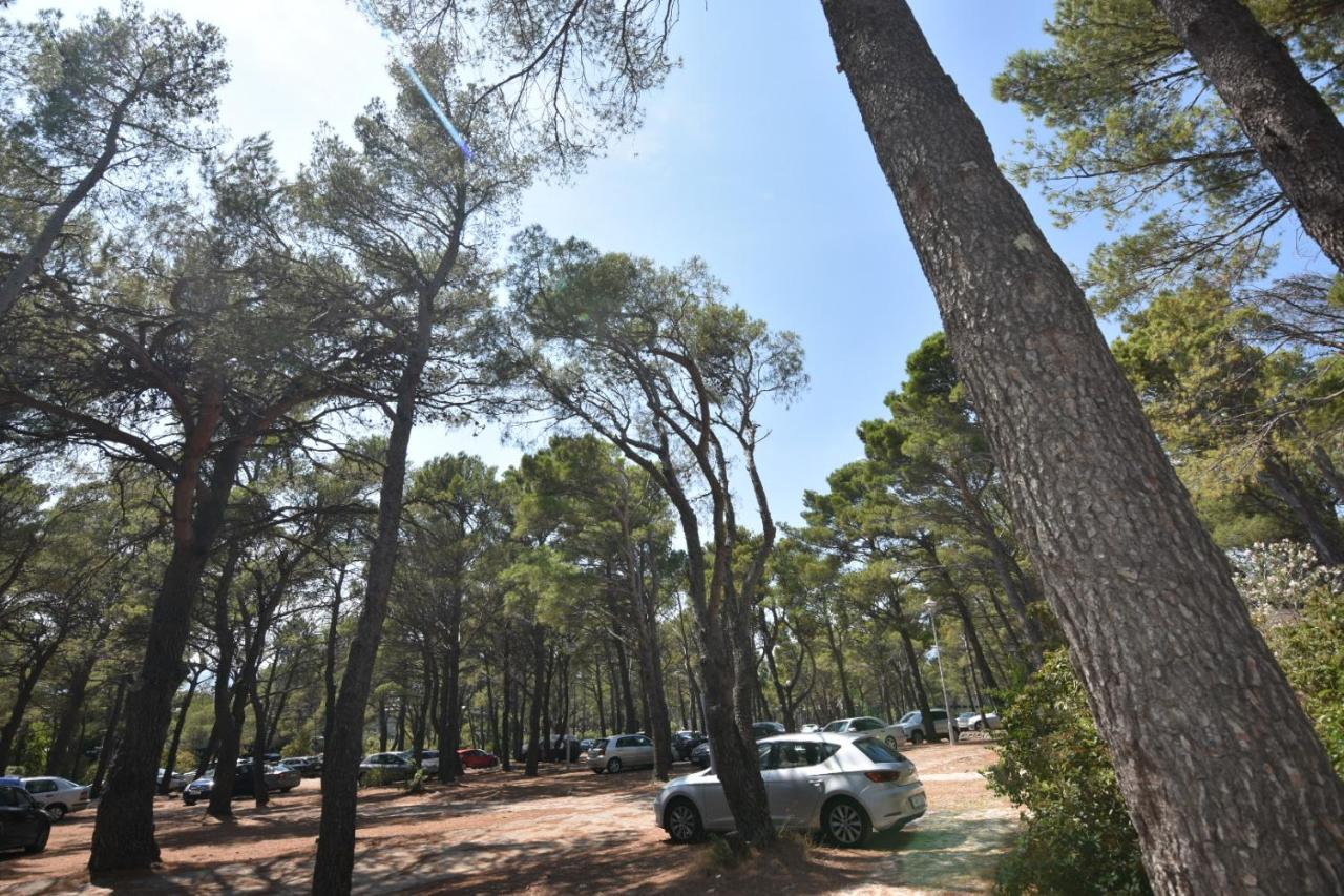 Mobile Homes Sara - Camping Basko Polje , Adriatic , Dalmatia Baška Voda Εξωτερικό φωτογραφία