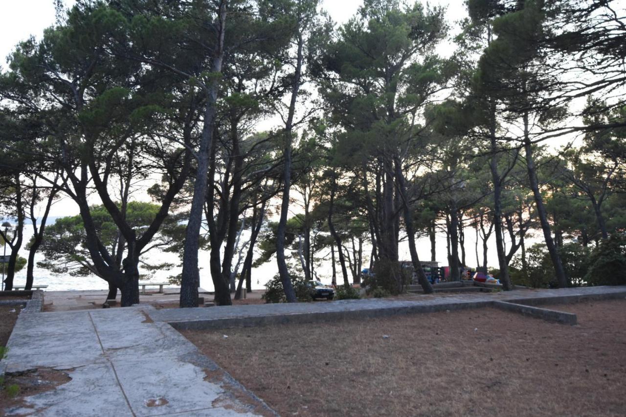 Mobile Homes Sara - Camping Basko Polje , Adriatic , Dalmatia Baška Voda Εξωτερικό φωτογραφία